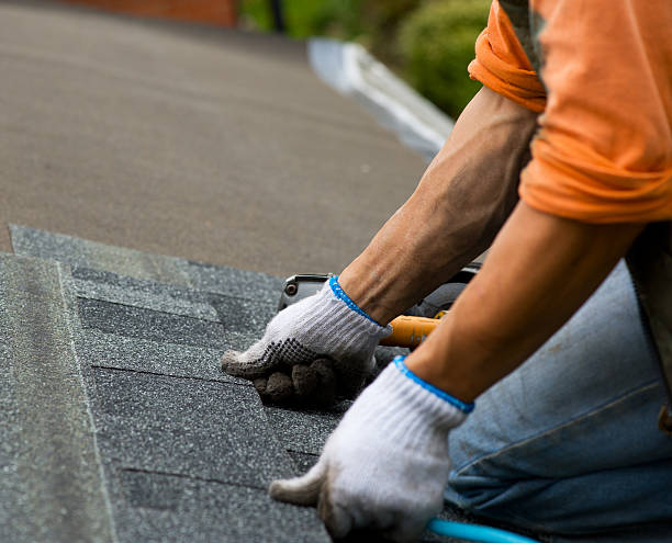 Roof Gutter Cleaning in Paducah, KY