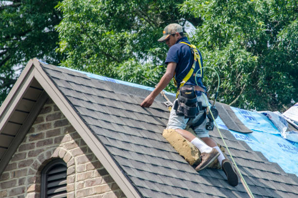 Best Roof Gutter Cleaning  in Paducah, KY